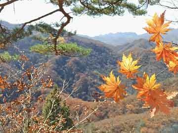 英雄联盟手游节点选择：深度解析与策略指导